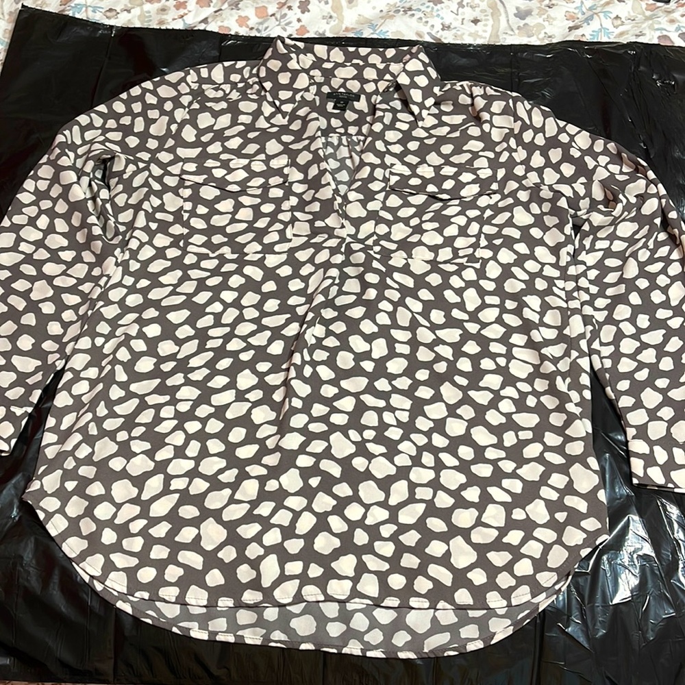 Ann Taylor Blouse